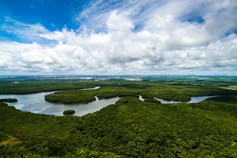Amazonie - Brésil