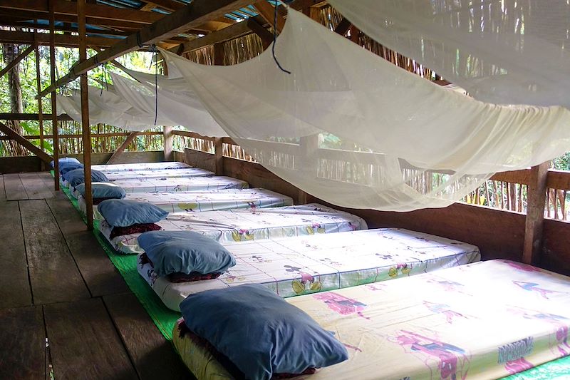 Hébergement dans la forêt amazonienne