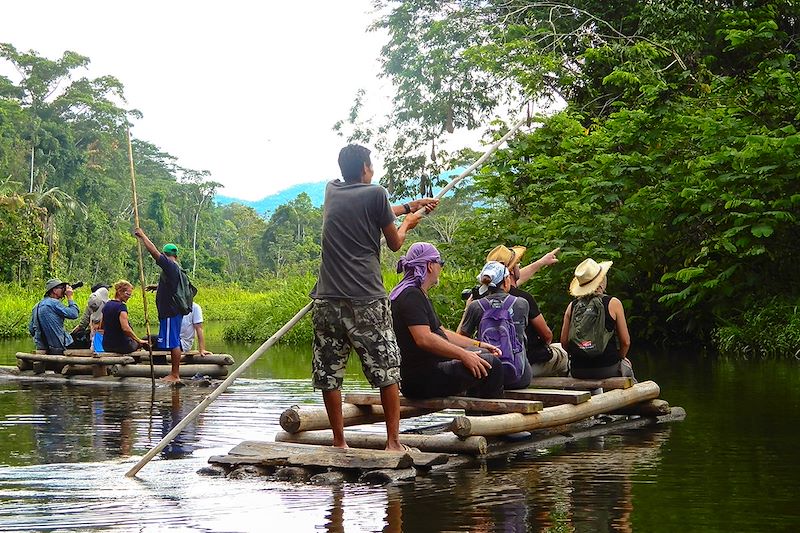 Bateaux dans l'Amazonie