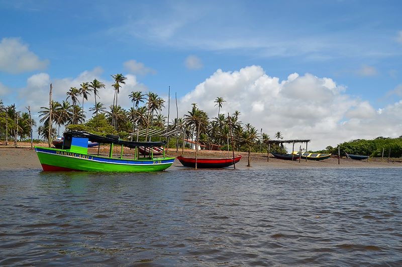 Sur le Rio Preguiças - Maranhão - Nordeste - Brésil