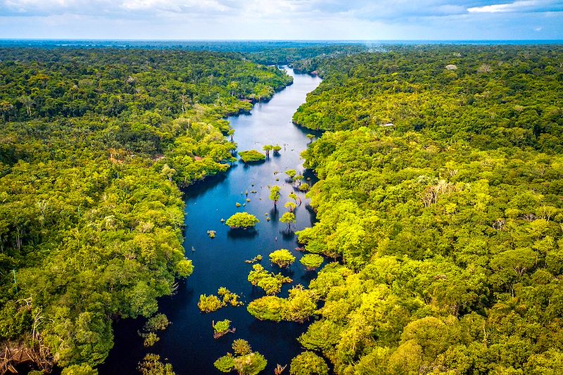 Parenthèse enchantée, d’une croisière en Amazonie aux chutes d'Iguaçu, via la vivifiante Rio de Janeiro et la baie de Paraty