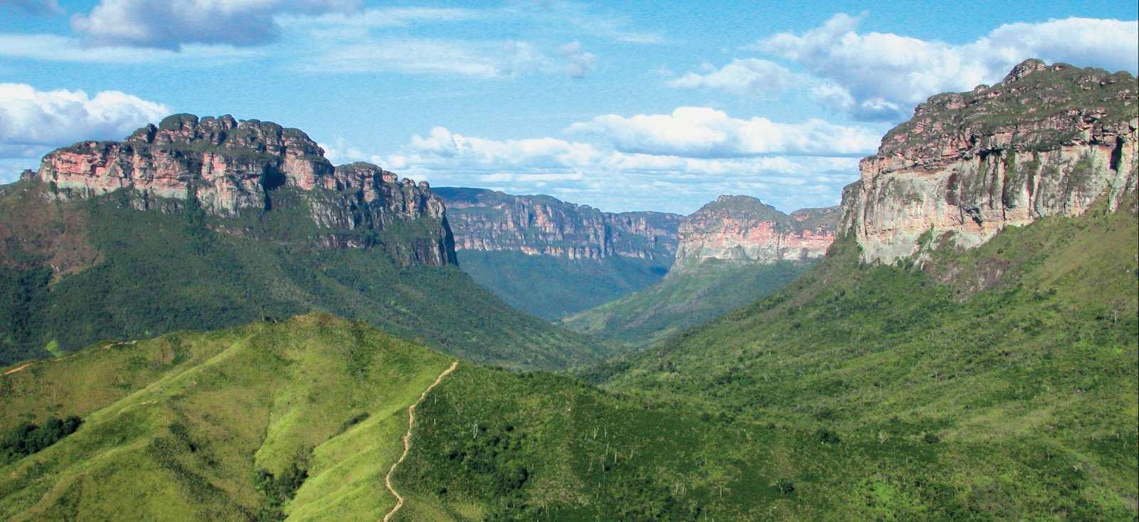 Trek - Le Nordeste sans concession