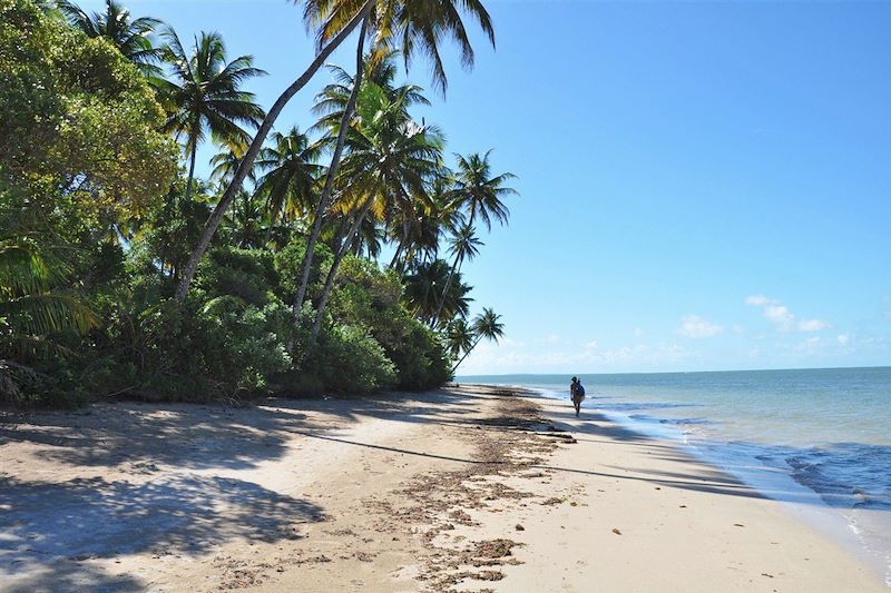 Plage de Morere - Ile de Boipeba - Etat de Bahia - Brésil