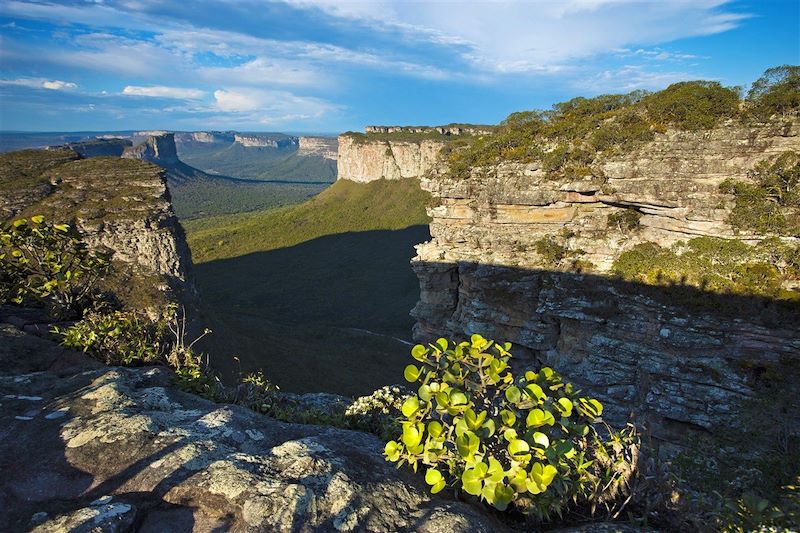 Vue depuis le Morro do Pai Inacio - Parc national Chapada Diamantina - Etat de Bahia - Brésil