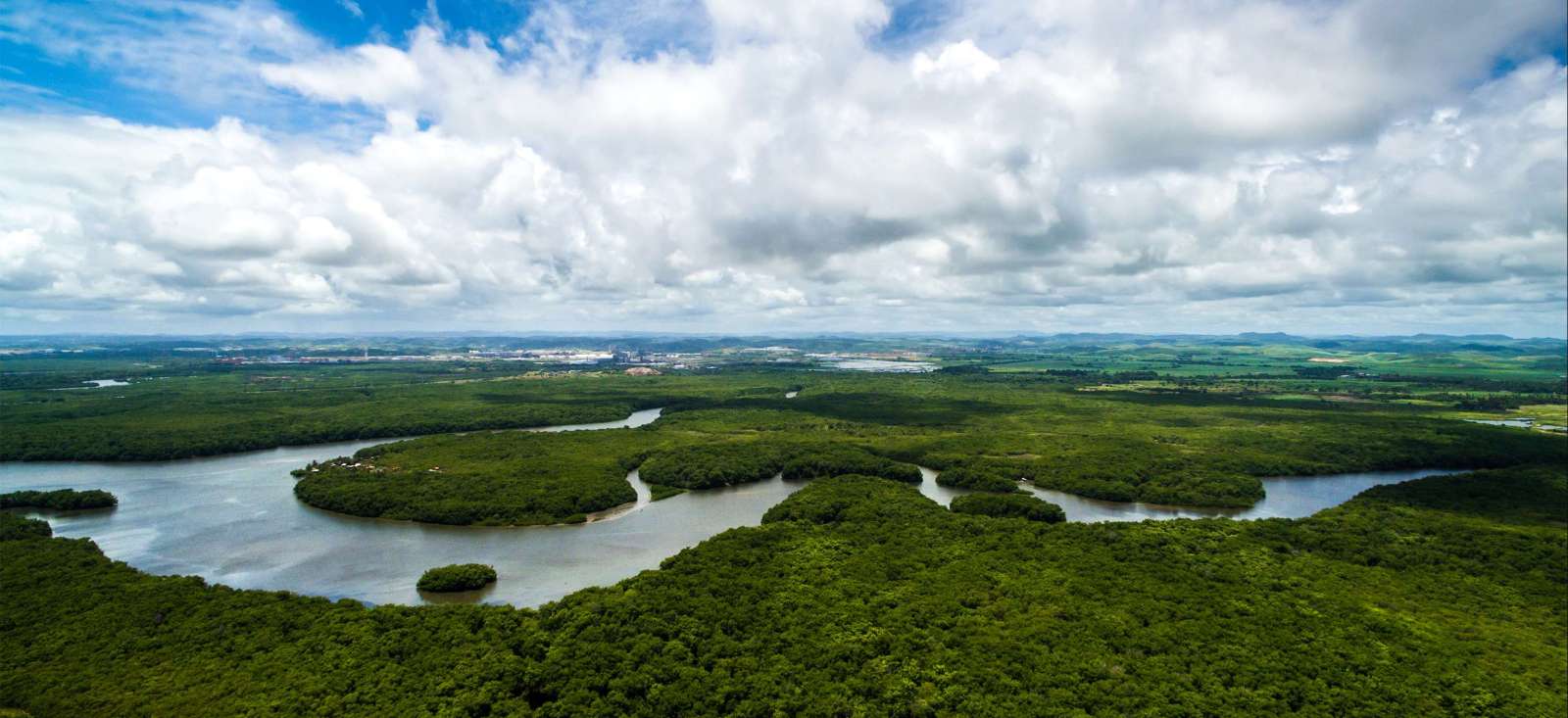 Image Croisière au fil de l'Amazone