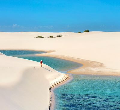 Circuits en petit groupe Brésil