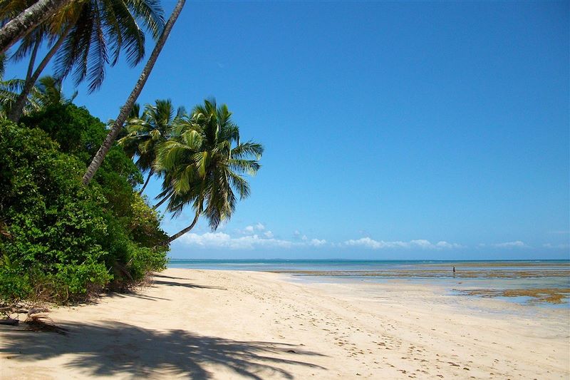 Plage de Moréré - Boipeba - Brésil