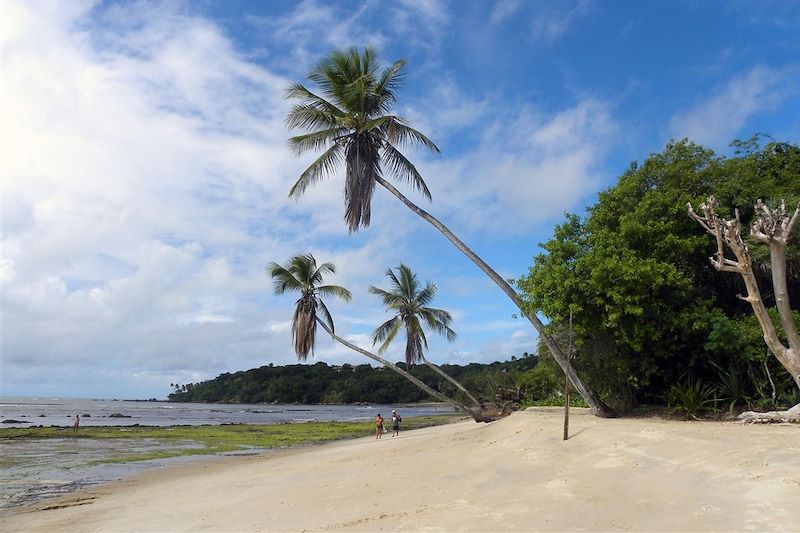 Ile de Boipeba - Etat de Bahia - Brésil 