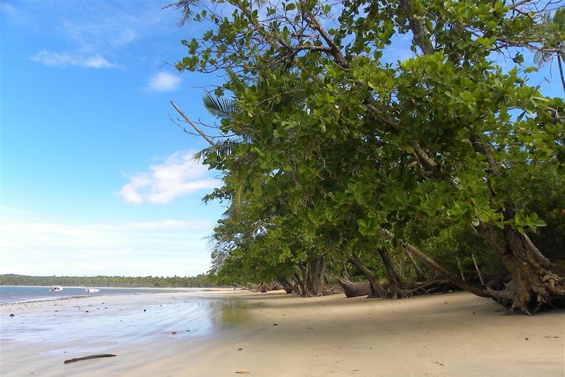 Ile de Boipeba - Etat de Bahia - Brésil 