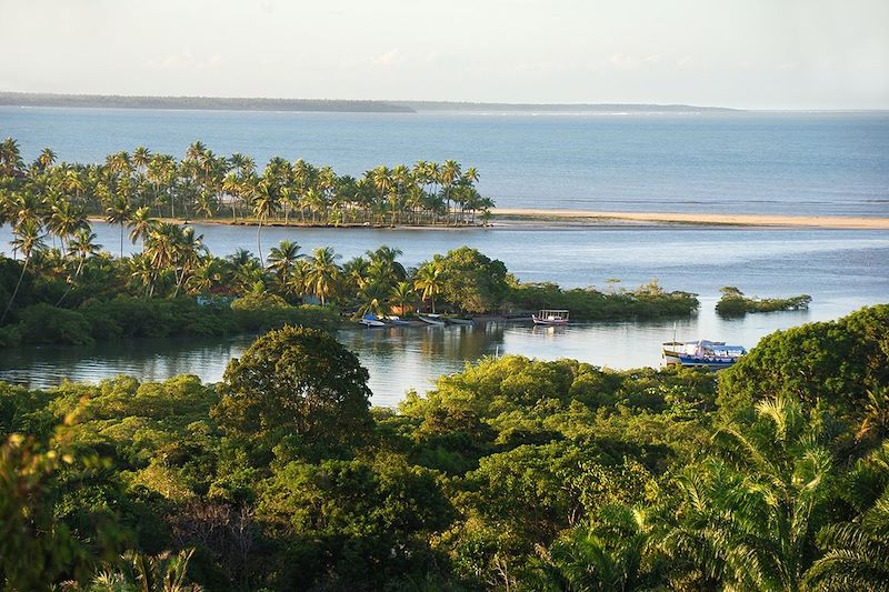 Rio do Inferno - Boipeba - Bahia - Brésil