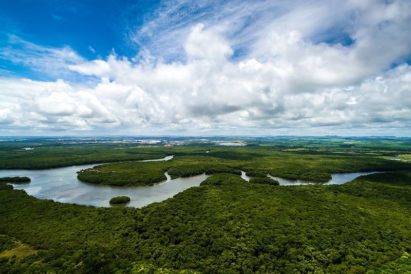 Croisière au fil de l'Amazone