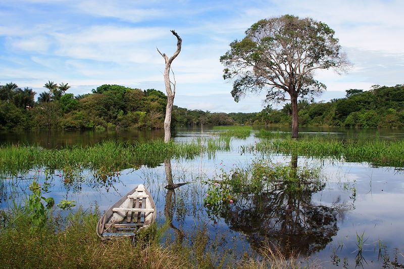 Croisière au fil de l'Amazone