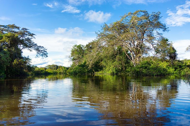 Forêt amazonienne - Brésil