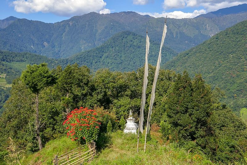 Trek sur le Trans Bhutan Trail dans les pas des anciens pèlerins et caravanes à travers une biodiversité exceptionnelle
