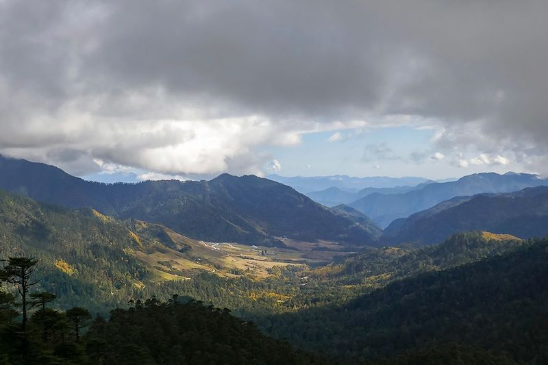Trek sur le Trans Bhutan Trail dans les pas des anciens pèlerins et caravanes à travers une biodiversité exceptionnelle