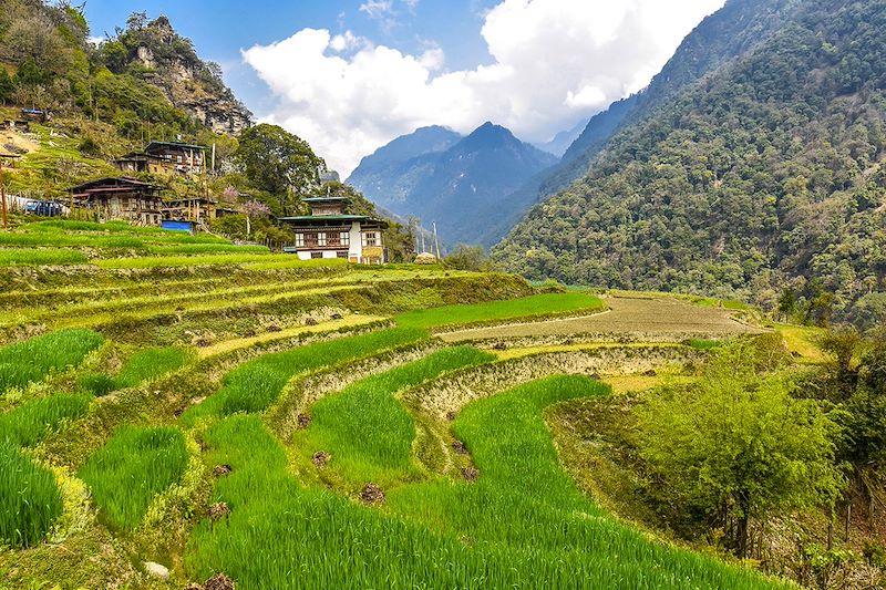 Paysages près de Gasa - Bhoutan