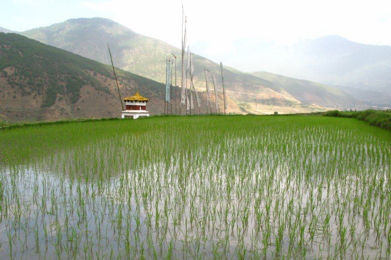 Punakha - Bhutan