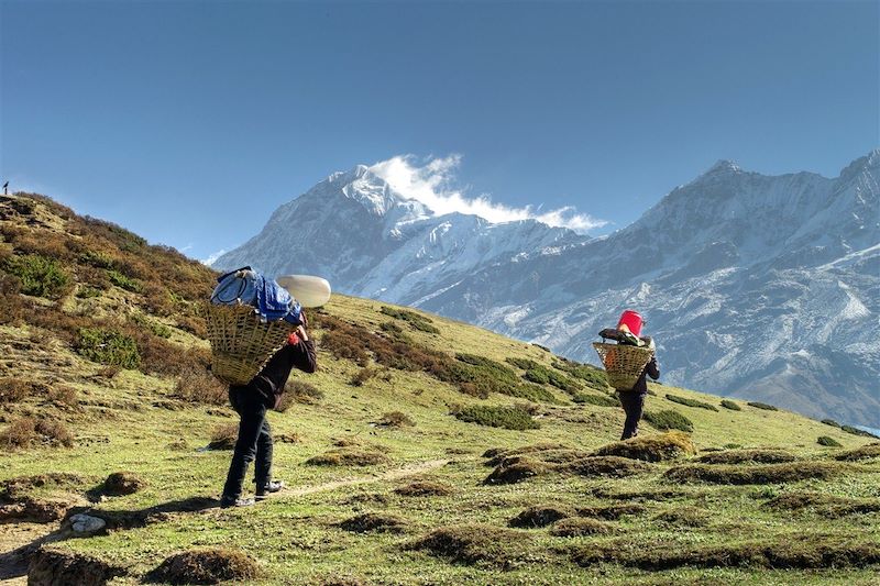 Dzongri - Sikkim - Inde