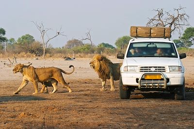 voyage Aventure au fil de l'Okavango