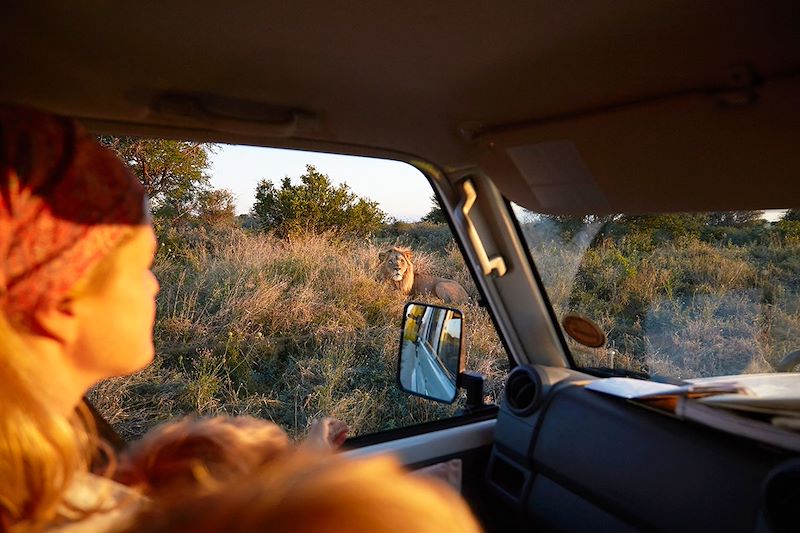 Safari en 4x4 au Botswana