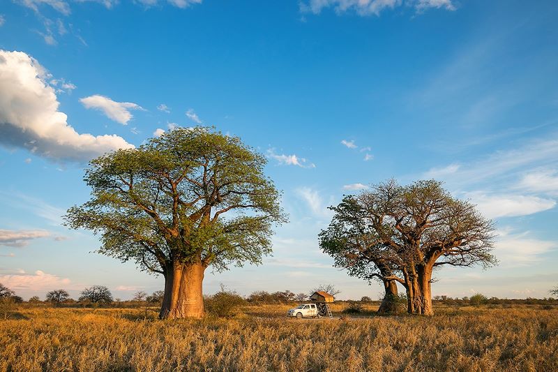 Camping en 4x4 avec tente sur toit à Baines Baobab - Parc national de Nxai Pan - Botswana