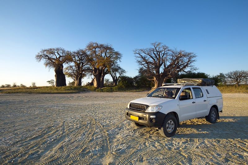 Aventure au fil de l'Okavango