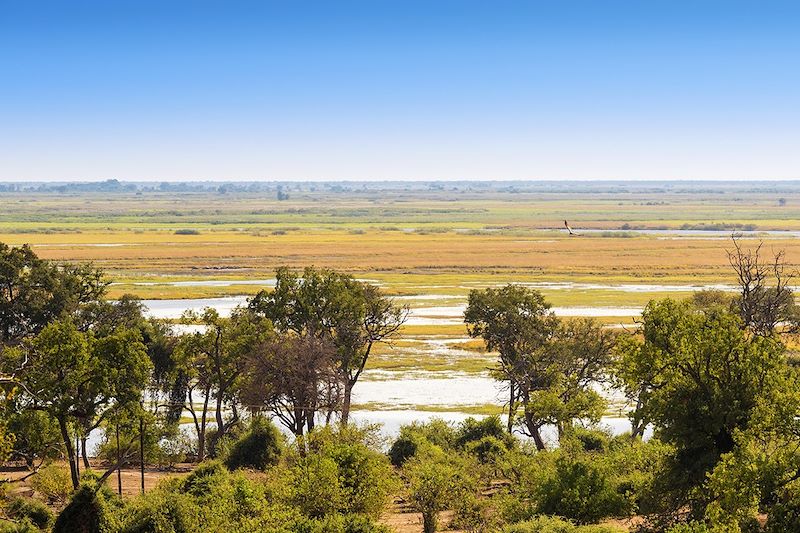 Parc national de Chobe - Botswana 