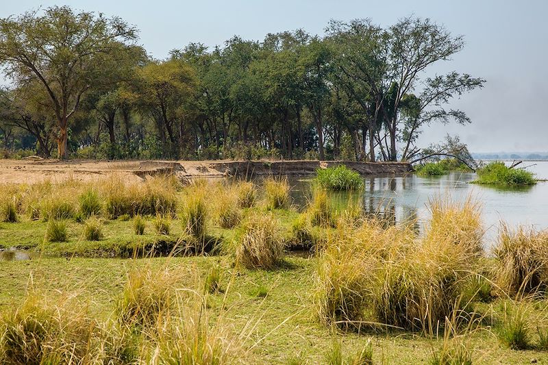 Lower Zambezi National Park - Zambie