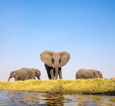 voyage Botswana