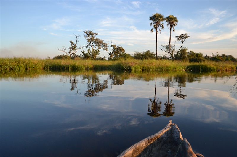 Delta de l'Okavango - Botswana