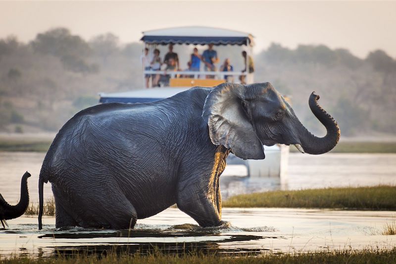 Parc national de Chobe - Botswana