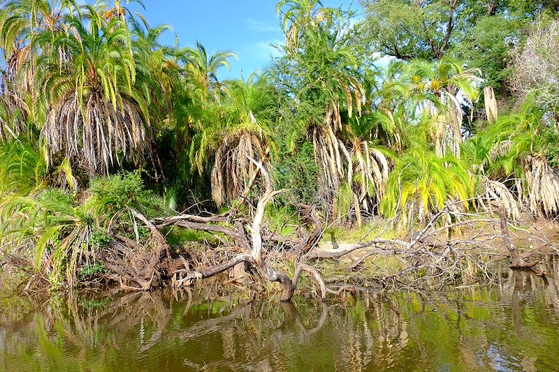 Delta de l'Okavango - Botswana