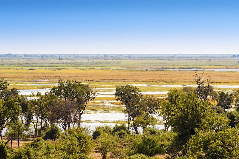 Parc national de Chobe - Botswana 