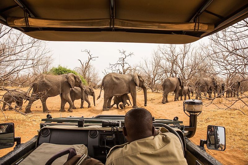 Safari dans le parc national de Chobe - Botswana