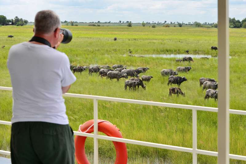 De Vic' Falls au Delta : mi-lodge mi-camping