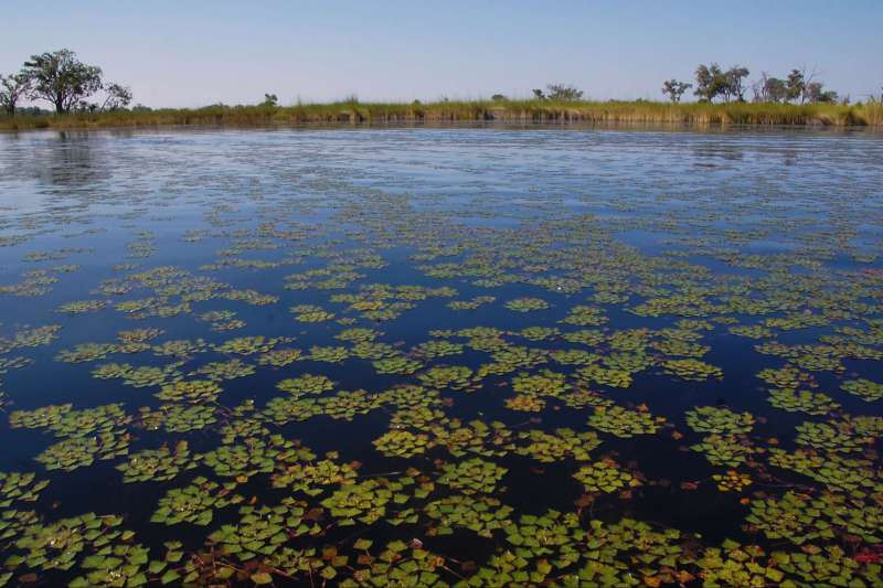 Ma p'tite cabane sur l'Okavango