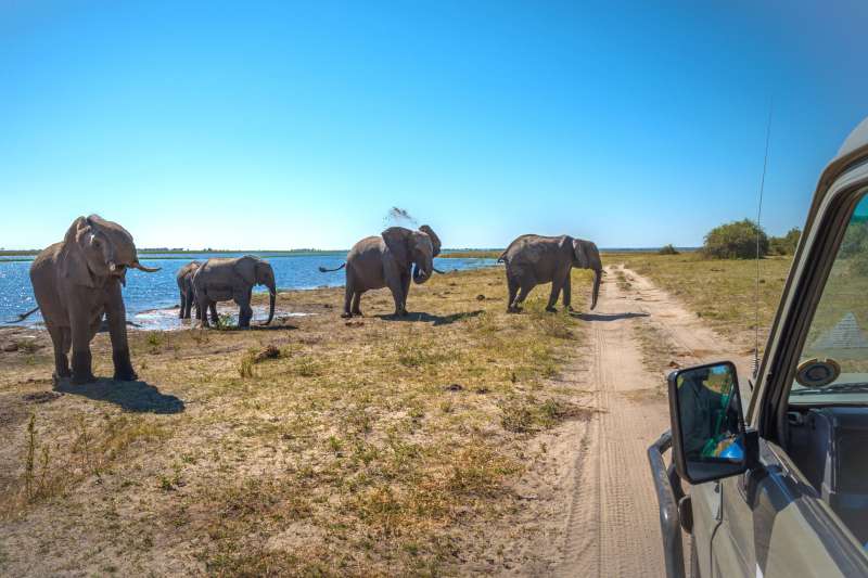 Maun et Victoria Falls en lodges de charme !