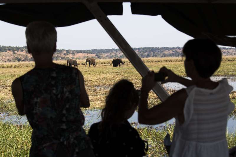 De Vic' Falls au Delta : mi-lodge mi-camping