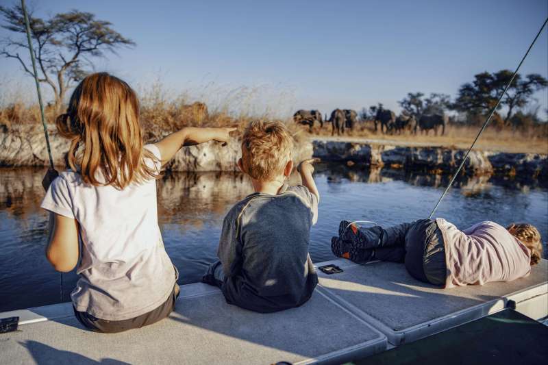 Safari en famille à la découverte des plus beaux parcs du Botswana et des Chutes Victoria. Le voyage qui met les enfants dehors ! 