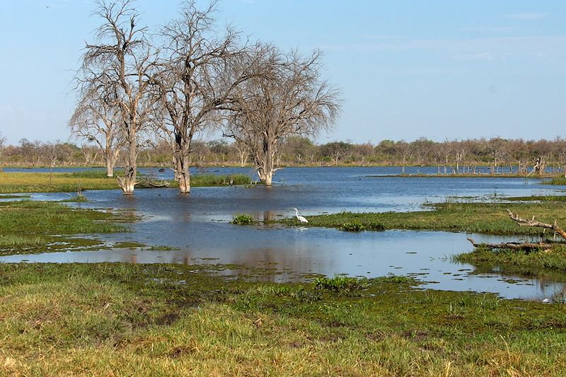 Paysage du Botswana