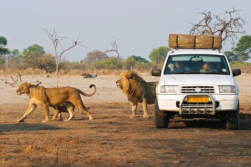 Autotour au Botswana sur les pistes du delta de l'Okavango à Chobe, à travers les réserves de Moremi, Savuti et la rivière Khwai.