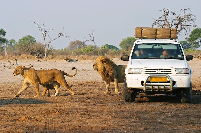 voyage Botswana