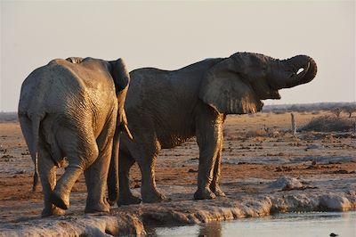 voyage Botswana