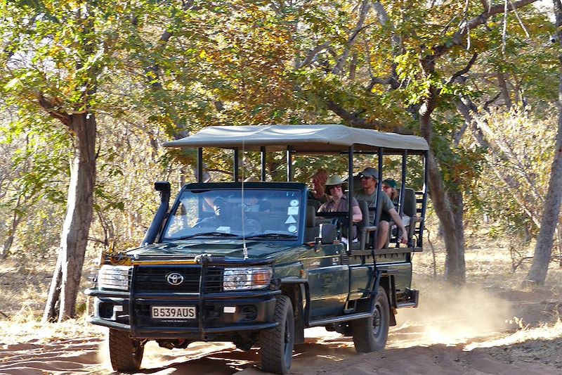 Safari en 4x4 au Botswana