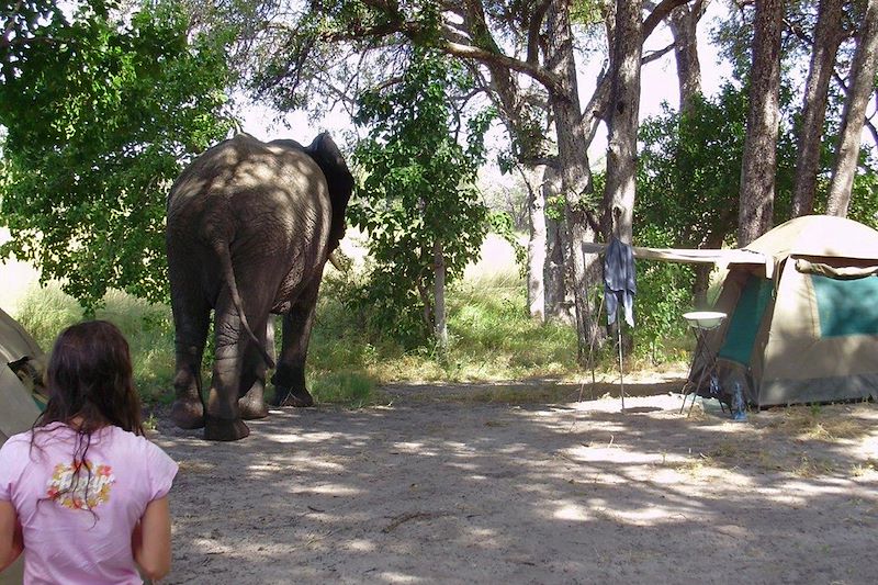 Campement au Botswana