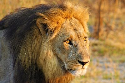 Au temps des explorateurs !