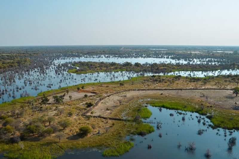 Parc National Chobe - Botswana