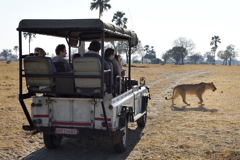 Hwange - Province de Matabeleland septentrional - Zimbabwe