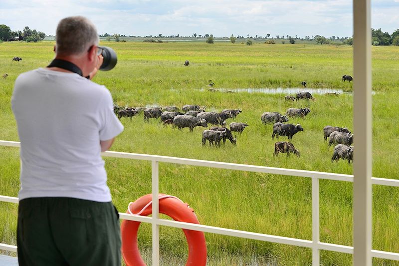 Croisière et safari en Afrique australe