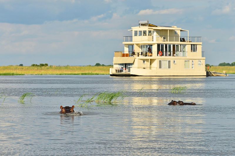 Croisière sur la rivière Chobe à bord du Chobe Princess